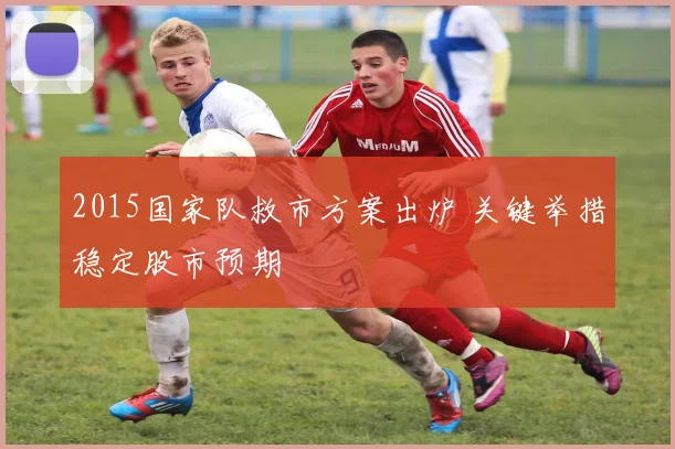2015国家队救市方案出炉 关键举措稳定股市预期