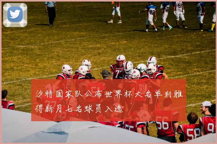 沙特国家队公布世界杯大名单利雅得新月七名球员入选