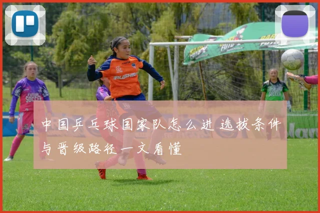 中国乒乓球国家队怎么进 选拔条件与晋级路径一文看懂